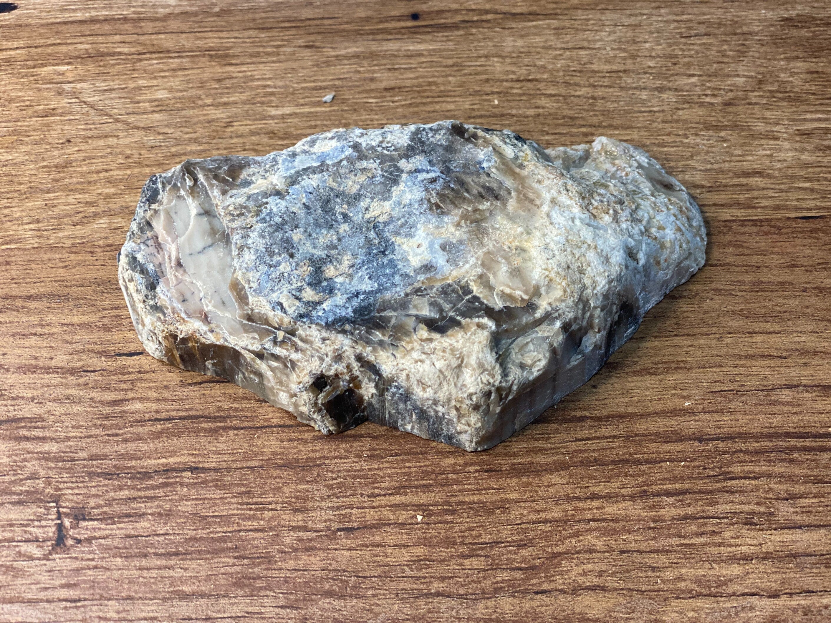 Petrified Wood, Polished and Glossed, Polished Petrified Wood Slab From Wyoming, About 5.5 x 3 x 1.5 Inches