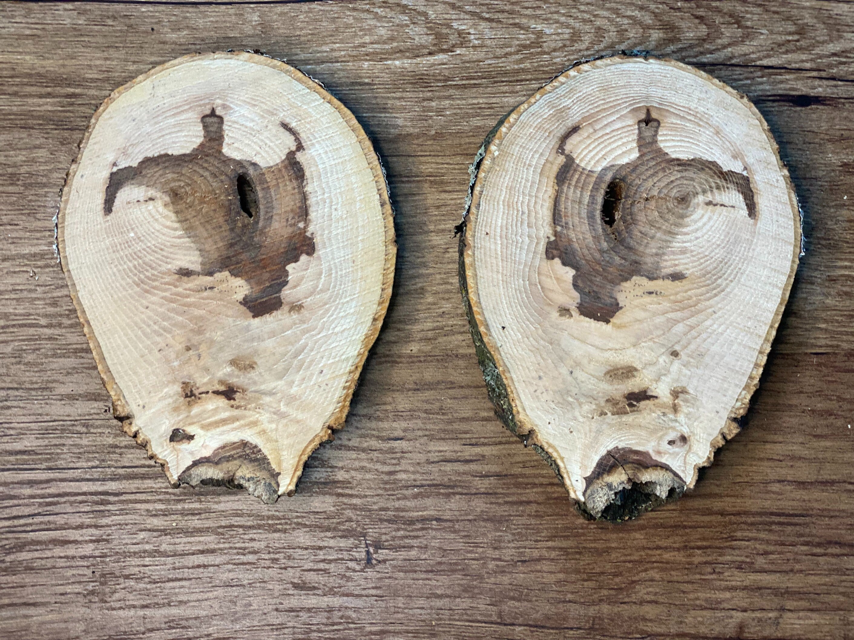 Two Hickory Burl Slices, 2 Count, Approximately 6.5-7 Inches Long by 4.5-5 Inches Wide