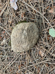 Live Moss Covered Rock, Approximately 3.5 by 3 by 2.5 Inches