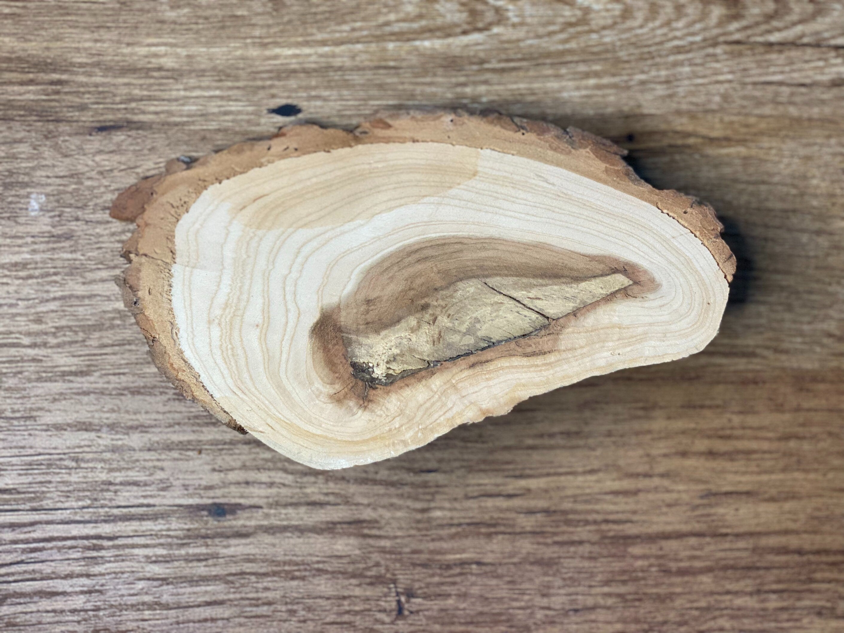 Pine Wedge, Pine Slice, Approximately 8 Inches Long by 4.75 Inches Wide and 1.5 Inches Tall