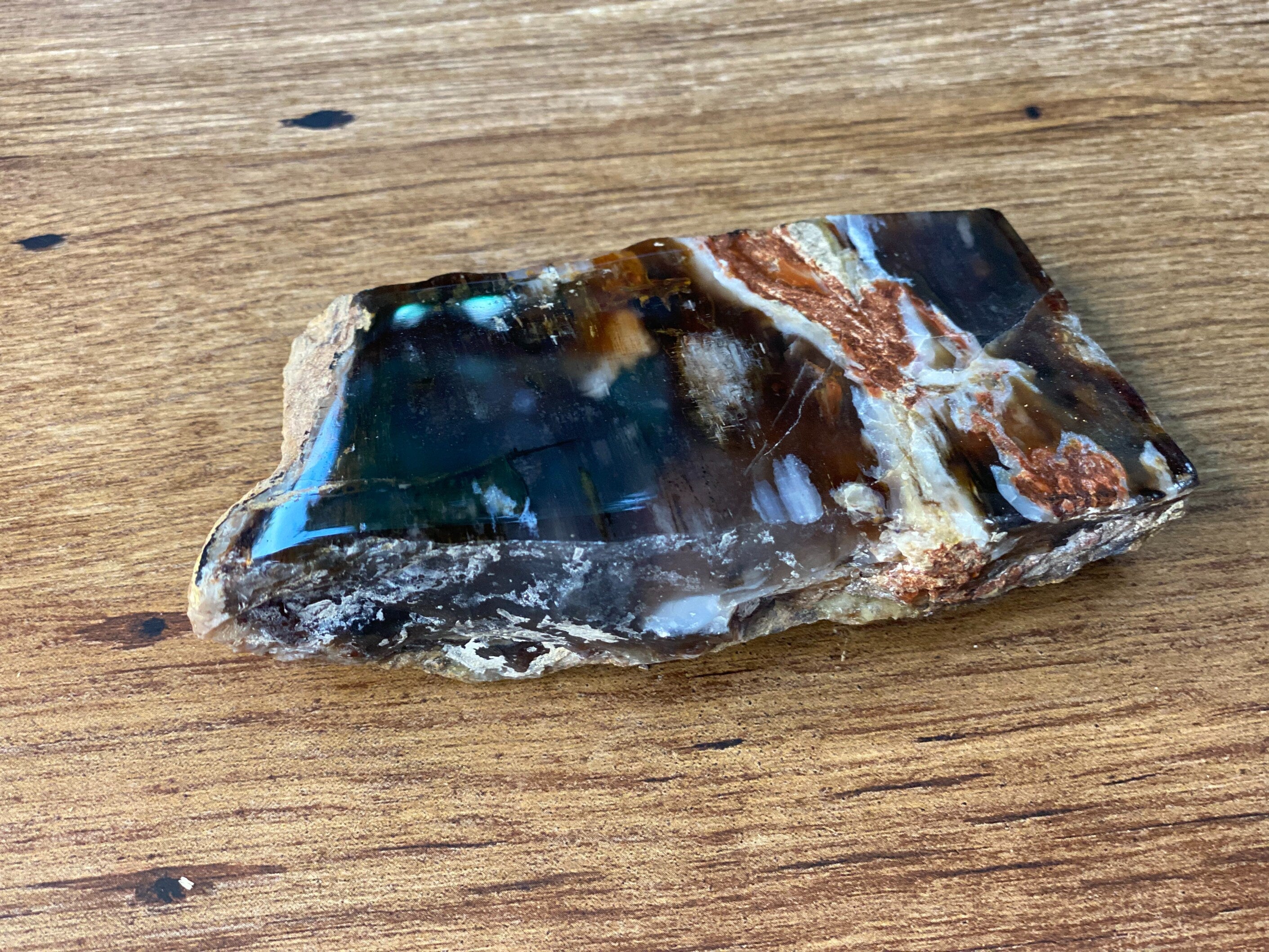 Petrified Wood, Polished and Glossed, Polished Petrified Wood Slab From Nevada, About 4.5 x 2.5 x 1.5 Inches in Size