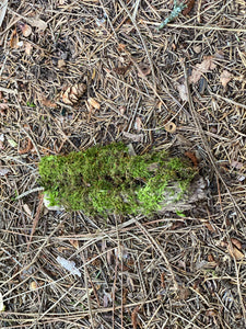 Tiny Moss Covered Log, Mossy Log, Approximately 5 Inches Long by 2 Inches Wide and 1 Inch High