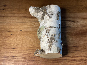 Lichen Log, White Birch With Misty Green Lichens, About 9 Inches Long by 6 Inches Wide and 3.5 Inches Thick