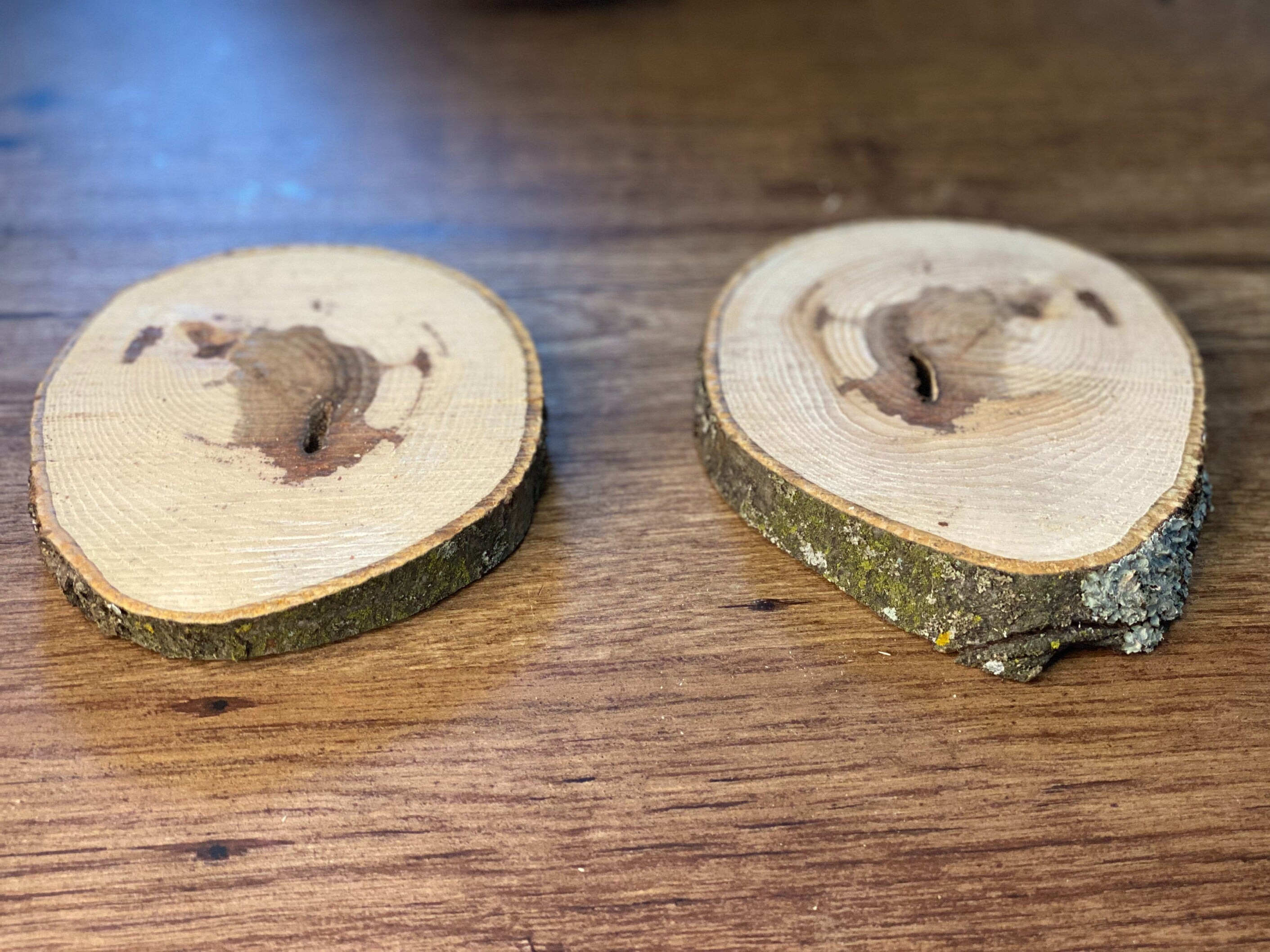 Two Hickory Burl Slices, 2 Count, Approximately 5-6 Inches Long by 4.5 Inches Wide