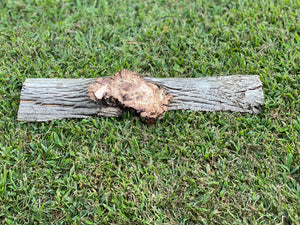 Long Hickory Burl Slice, 1 Count, Approximately 17.5 Inches Long by 5 Inches Wide and 1/2 Inch Thick