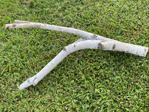 White Birch Branch, Parrot Perch, Approximately 21 Inches Long by 6 Inches Wide and 10 Inches Tall Branch to Branch