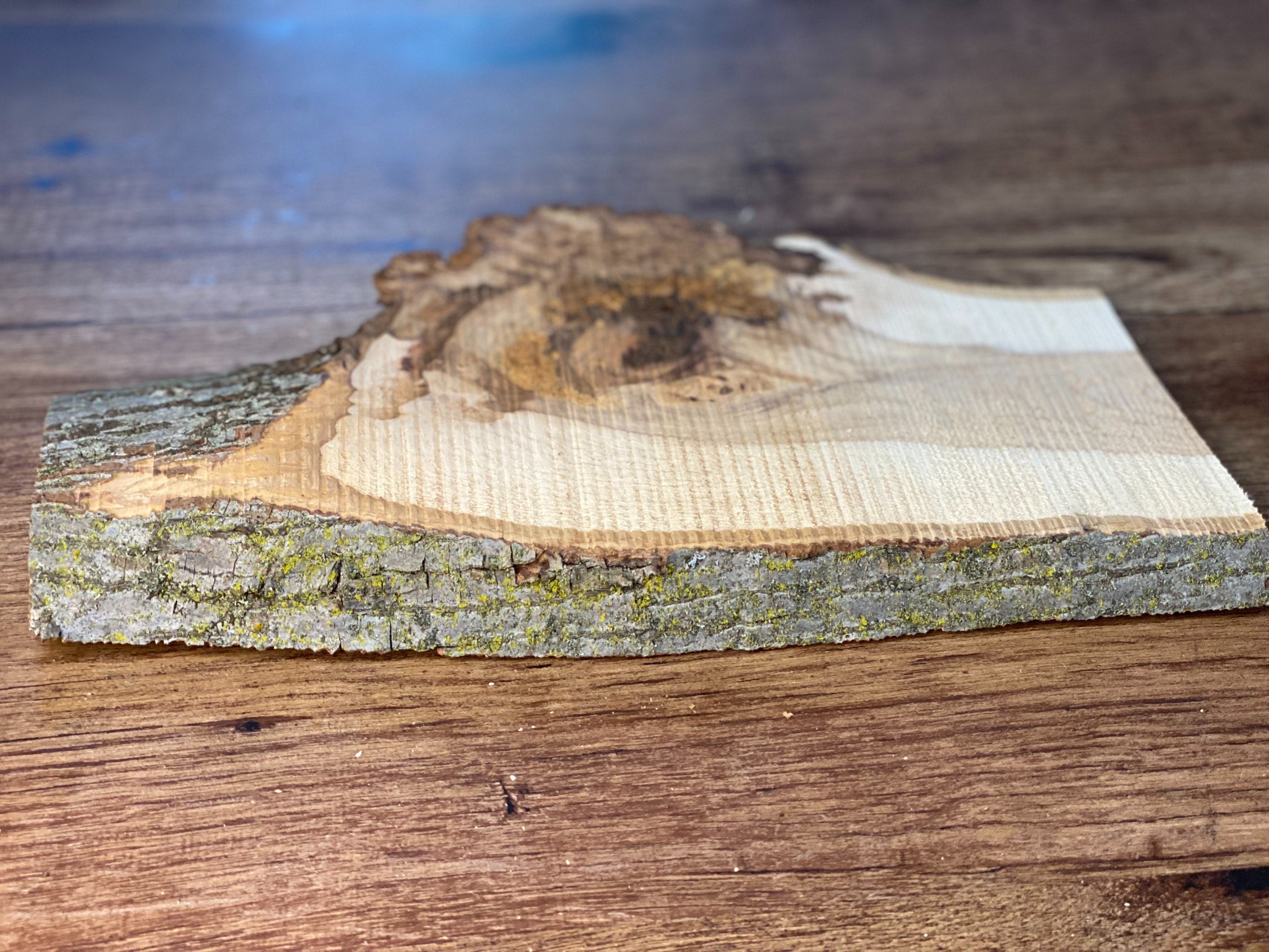 Hickory Burl Slab, 1 Count, Approximately 12 Inches Long by 7 Inches Wide and 3/4 Inch Thick