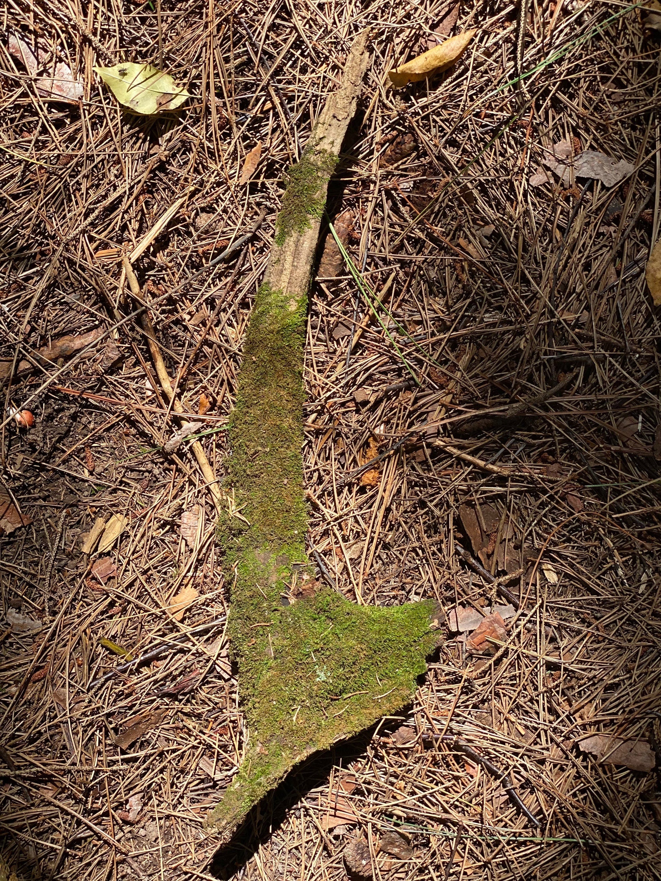 Moss Covered Log, Mossy Log, 18 Inches Long by 5 Inches Wide and 2.5 Inches High