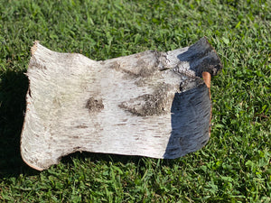 Natural White Birch Bark, White Birch Sheet, Approximately 15.5 Inches Long by 10.5 Inches Wide