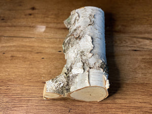 Lichen Log, White Birch With Misty Green Lichens, About 9 Inches Long by 6 Inches Wide and 3.5 Inches Thick