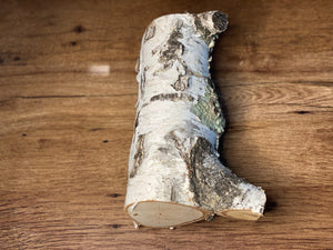 Lichen Log, White Birch With Misty Green Lichens, About 9 Inches Long by 6 Inches Wide and 3.5 Inches Thick