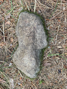 Live Moss on a Rock, Mossy Rock Approximately 11.5 Inches Long with a Width of 5 Inches and 3.5 Inches High