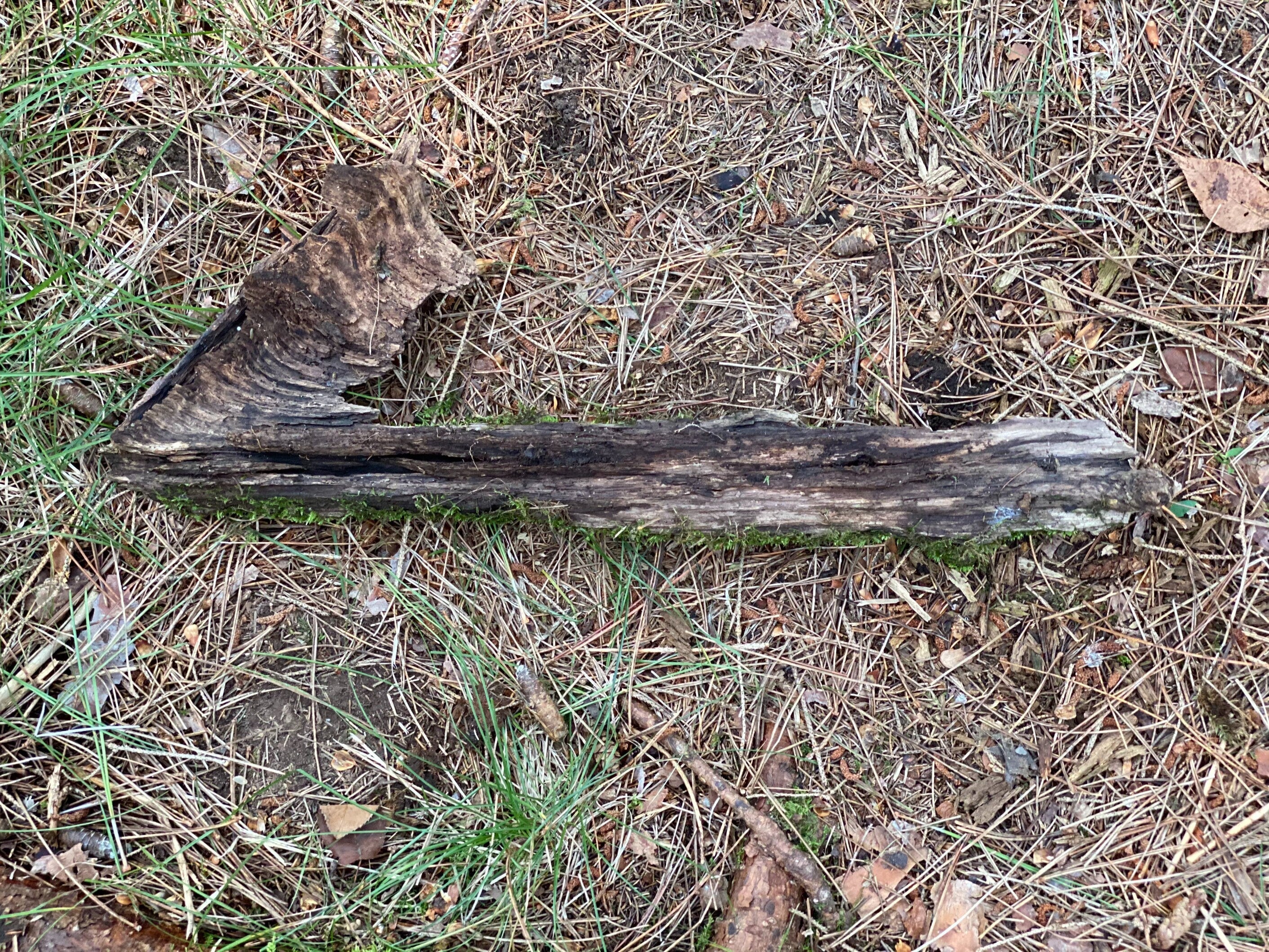 Moss Covered Log, Mossy Log, 21 Inches Long by 8 Inches Wide and 2 Inches High