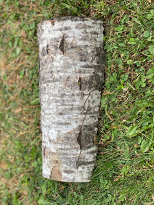 Aspen Frog Tunnel, Approximately 10 Inches Long by 5 Inches Wide and 2 Inches High