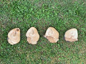 Burl, Four Hickory Burl Slices, Approximately 5.5-7 Inches Long by 4.5-5 Inches Wide and 3/4 Inch Thick