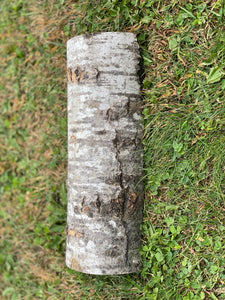 Aspen Frog Tunnel, Approximately 12 Inches Long by 4.5 Inches Wide and 2.5 Inches High