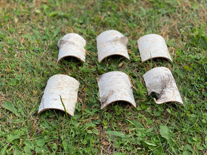 White Birch Shingles, Mini Spider Tunnels, Approximately 3 Inches Long by 2 Inches Wide and 1 Inch High