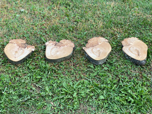 Burl, Four Hickory Burl Slices, Approximately 5.5-7 Inches Long by 4.5-5 Inches Wide and 3/4 Inch Thick