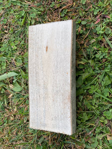Aspen Half Log, Aspen Slab, About 6 Inches Long by 3 Inches Wide and 1.5 Inches Thick