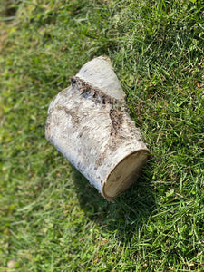 Small White Birch Log, Approximately 7 Inches Long by about 5.5 Inches Wide and 4 Inches Tall