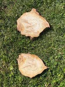 Two Aspen Slices, Approximately 7-8 Inches Long by 5.5-7.5 Inches Wide and 1 Inch Thick