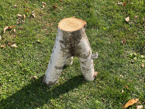 Unique White Birch Tripod Log, Approximately 18 Inches Long by about 14 Inches Wide and 8.5 Inches Tall