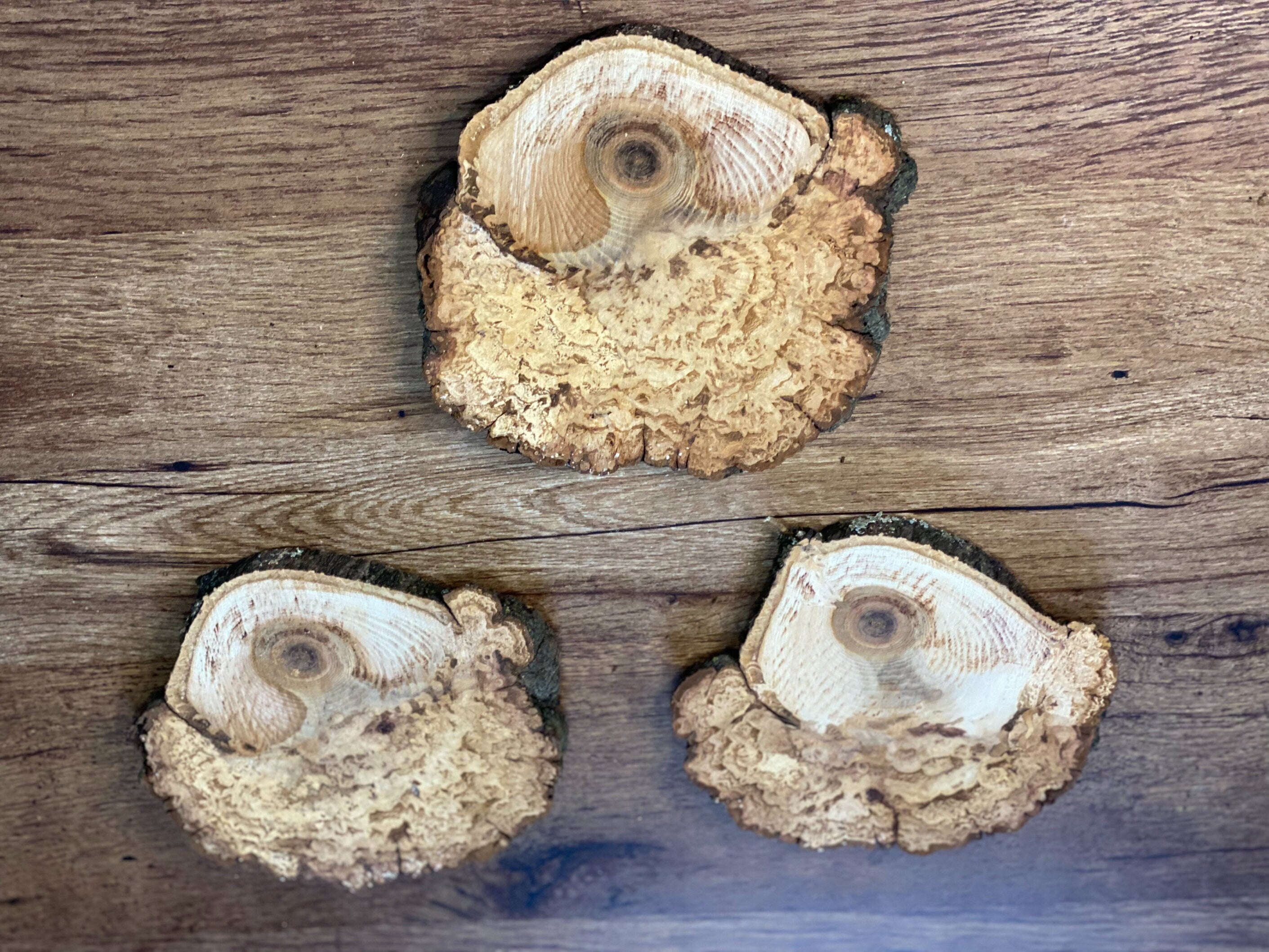 Three Hickory Burl Slices, Approximately 7-7.5 Inches Long by 6.5-7 Inches Wide and 2/3 Inch Thick