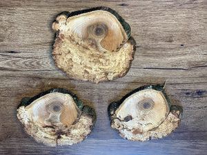 Three Hickory Burl Slices, Approximately 7-7.5 Inches Long by 6.5-7 Inches Wide and 2/3 Inch Thick