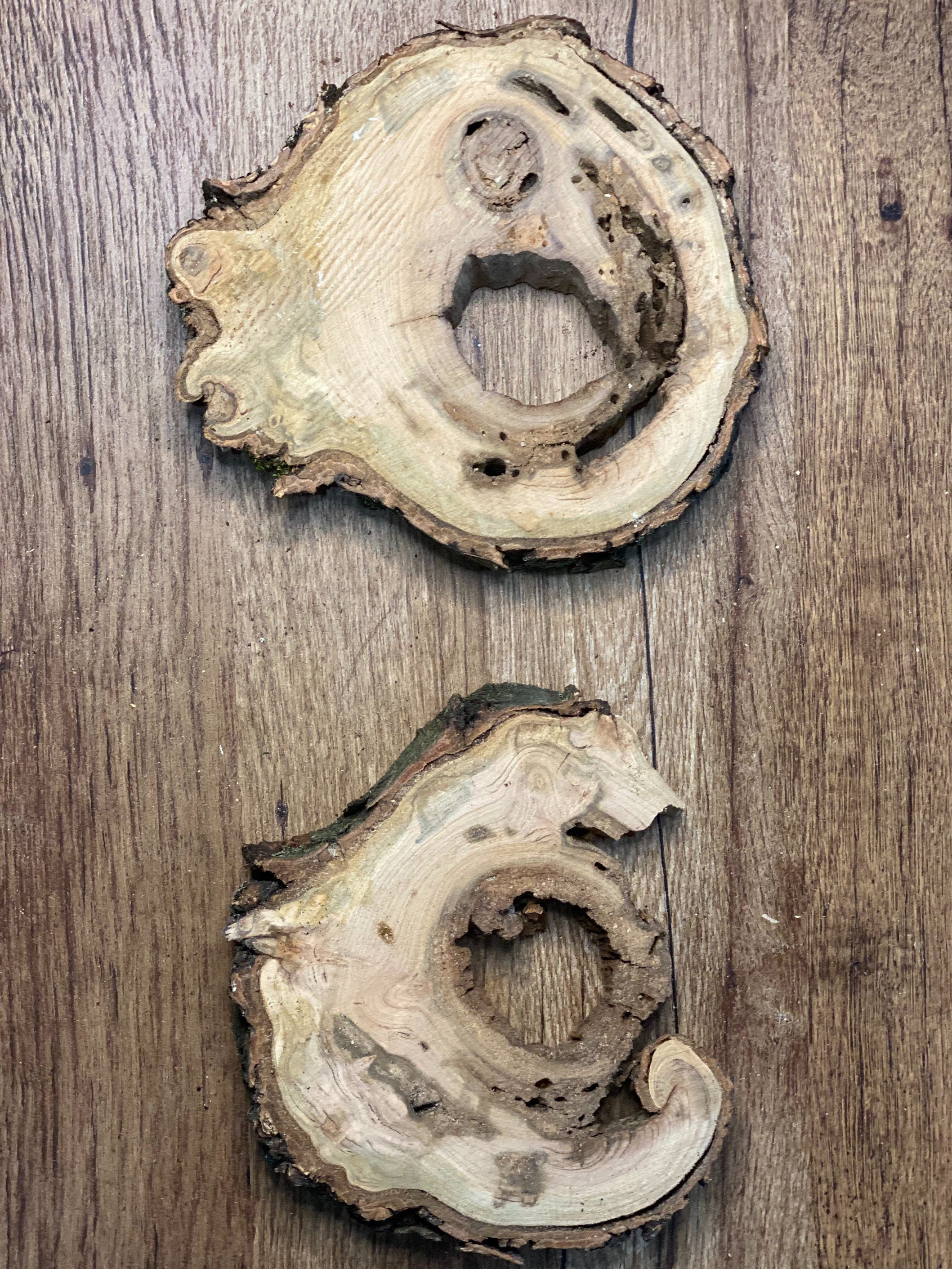 Two Cherry Burl Slices, Approximately 7 Inches Long by 6-7.5 Inches Wide and 1 Inch Thick