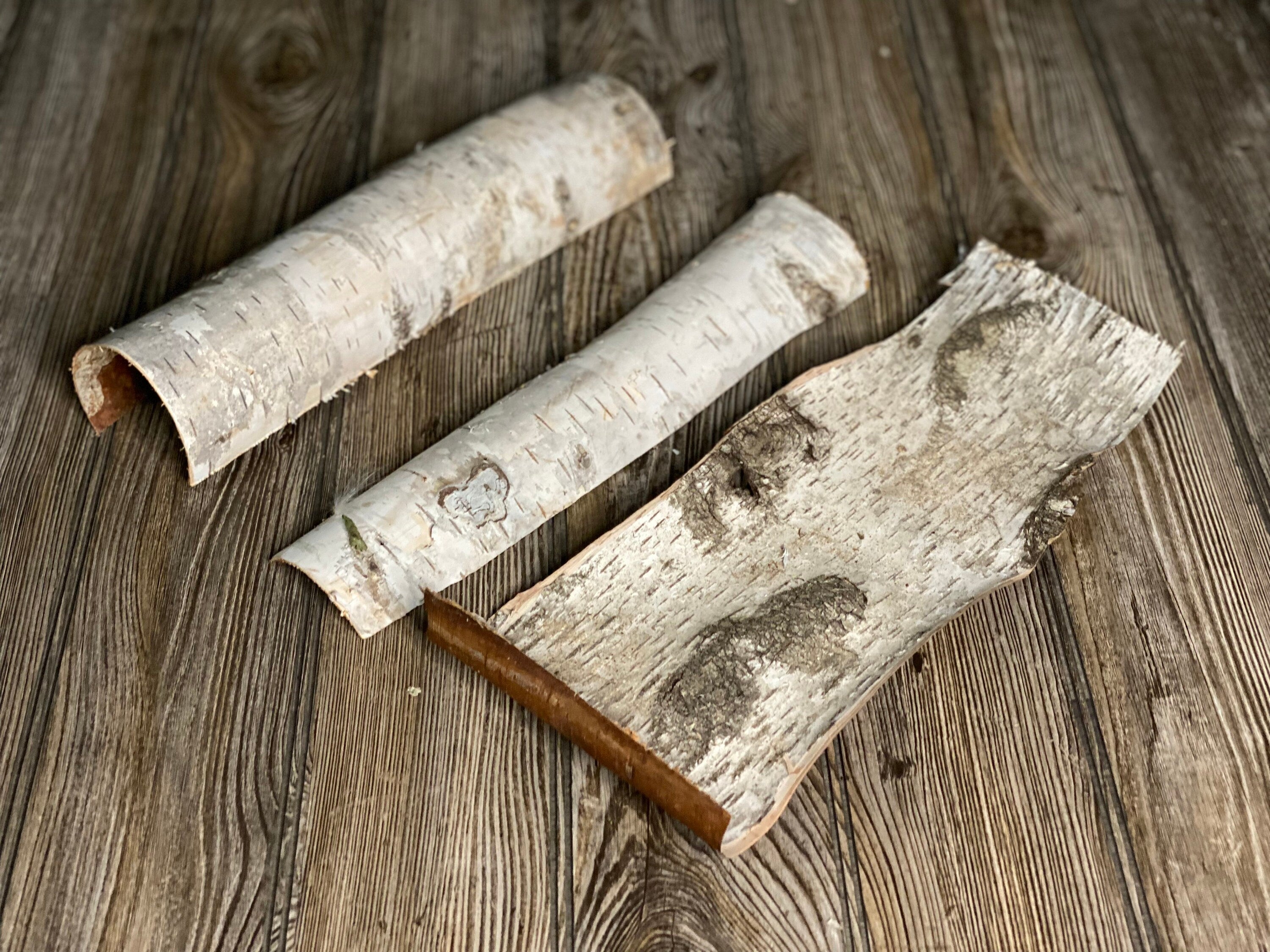 White Birch Tubes, Firm and Hollow, Approximately 12.5-13.5 Inches Long by About 3-6 Inches Diameter