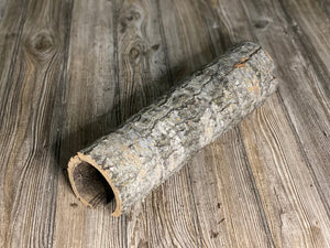 Aspen Turtle Tunnel, Approximately 16 Inches Long by 4 Inches Wide and 4 Inches High