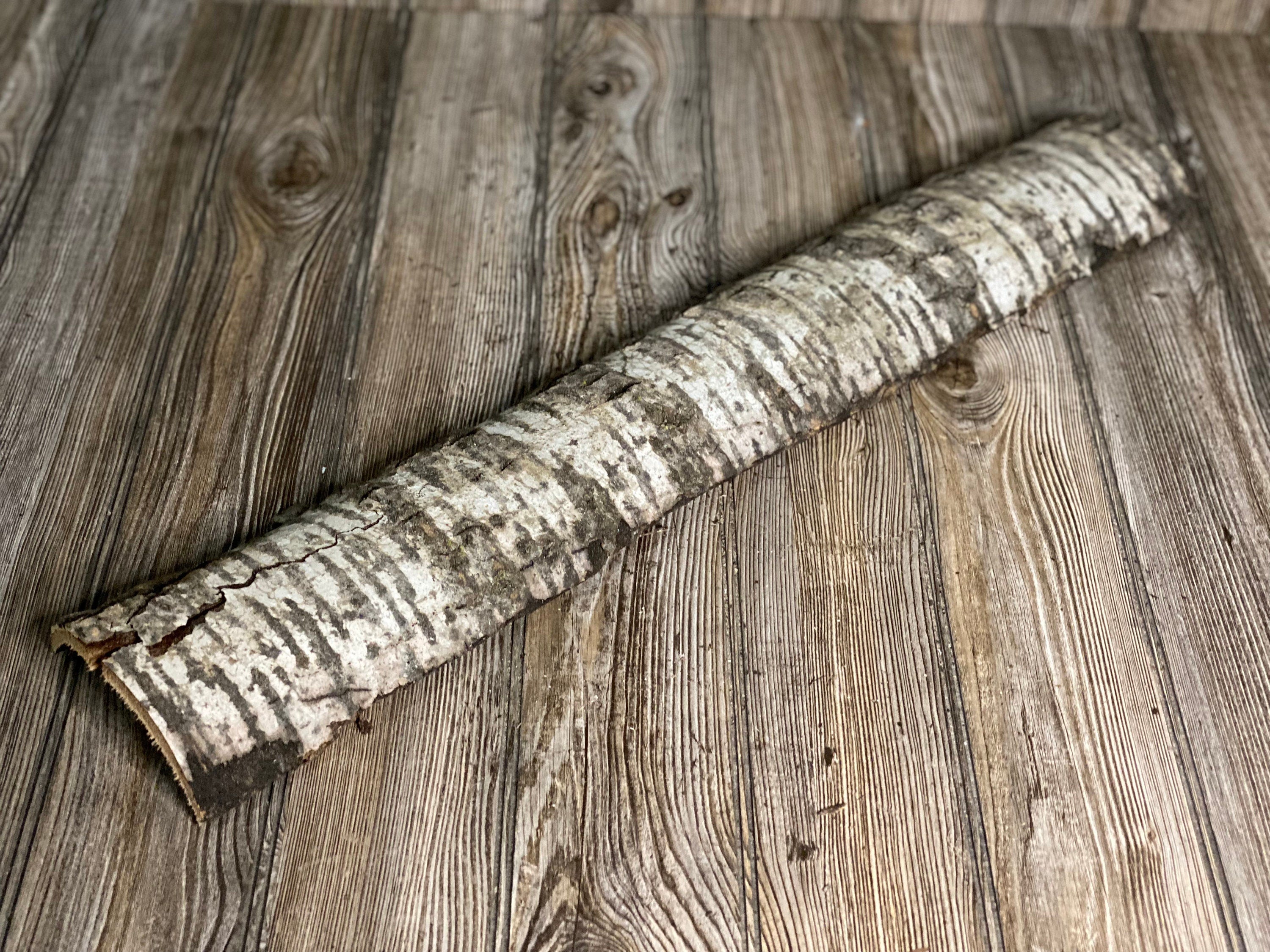 Long Aspen Lizard Tunnel, Approximately 28 Inches Long by 5 Inches Wide and 2 Inches High