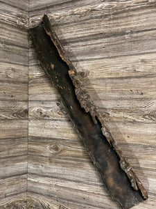 Long Aspen Lizard Tunnel, Approximately 41.5 Inches Long by 6 Inches Wide and 4.5 Inches High