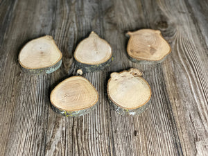 Five Hickory Slices, Approximately 3-4 Inches Long by 3 Inches Wide and 3/4 Inch Thick