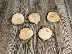 Five Hickory Slices, Approximately 3-4 Inches Long by 3 Inches Wide and 3/4 Inch Thick