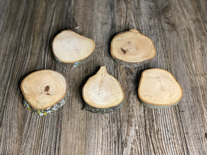 Five Hickory Wood Slices, Approximately 3-4 Inches Long by 3 Inches Wide and 3/4 Inch Thick