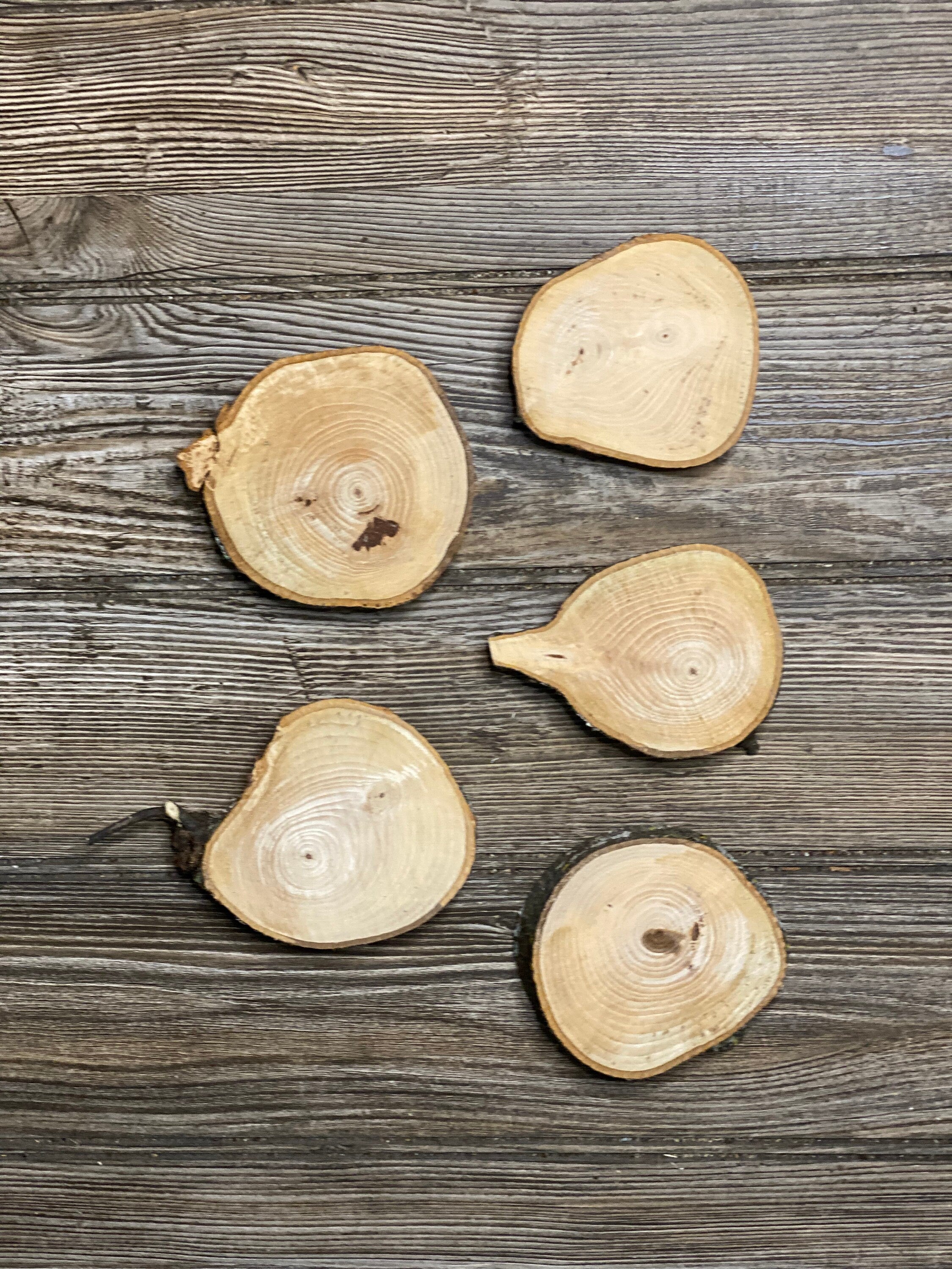 Five Hickory Wood Slices, Approximately 3-4 Inches Long by 3 Inches Wide and 3/4 Inch Thick