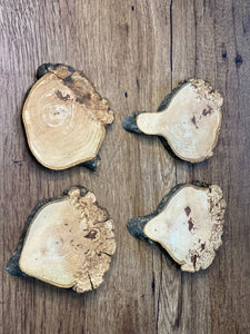 Four Hickory Burl Slices, Approximately 4-6 Inches Long by 4.5-5.5 Inches Wide and 3/4 Inch Thick