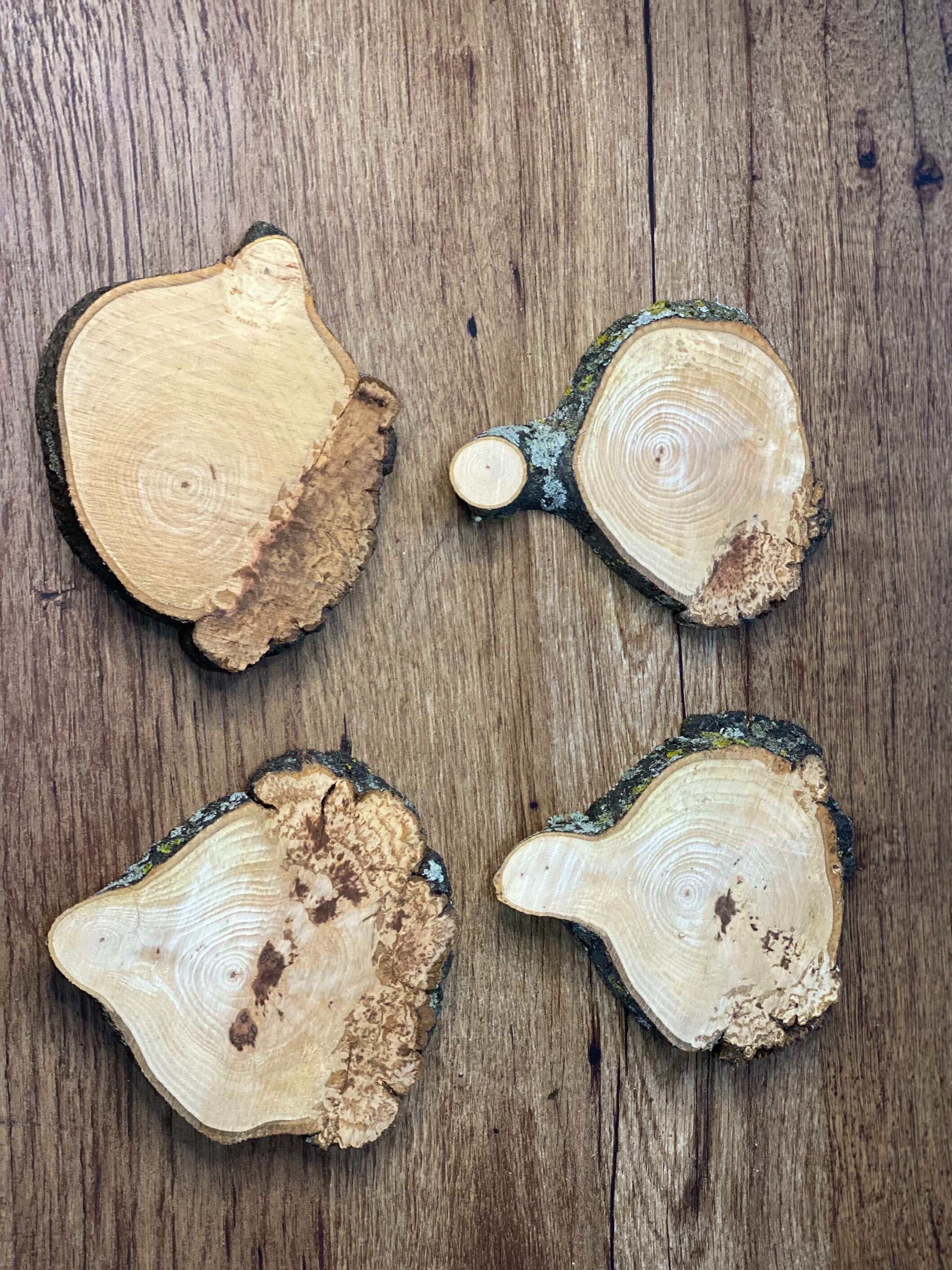 Four Hickory Burl Slices, Approximately 4-6 Inches Long by 4.5-5.5 Inches Wide and 3/4 Inch Thick