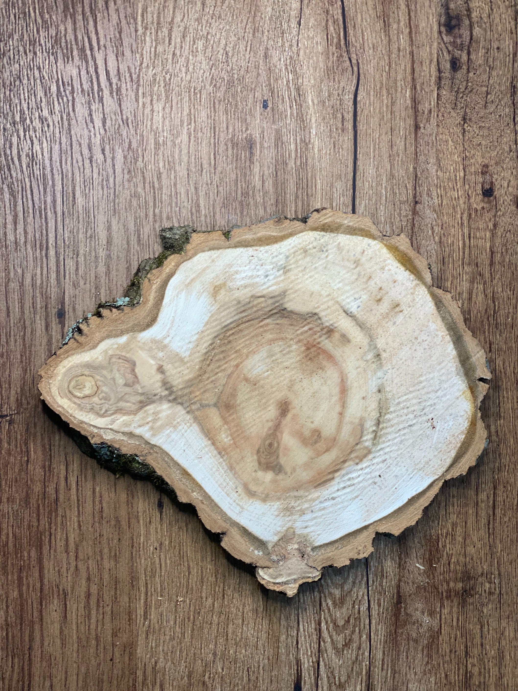 One Large Aspen Slice, Approximately 10.5 Inches Long by 9 Inches Wide and 1 Inch Thick