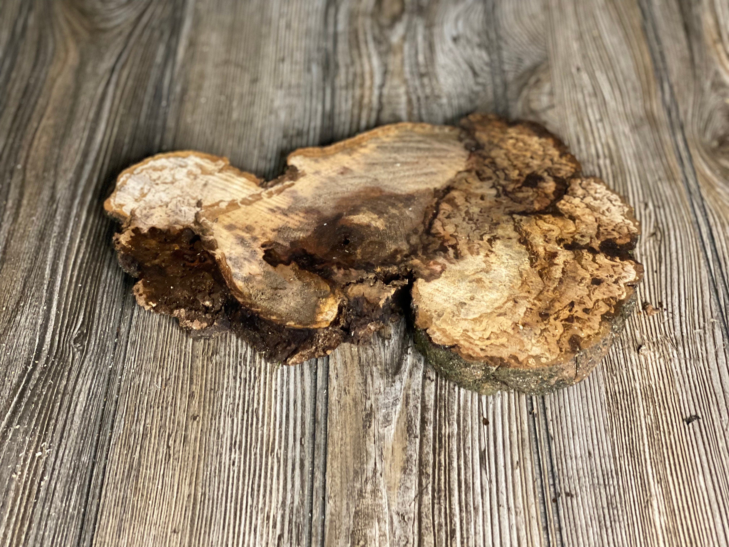 Hickory Burl Slice, Approximately 11 Inches Long by 7 Inches Wide and 3/4 Inch Thick