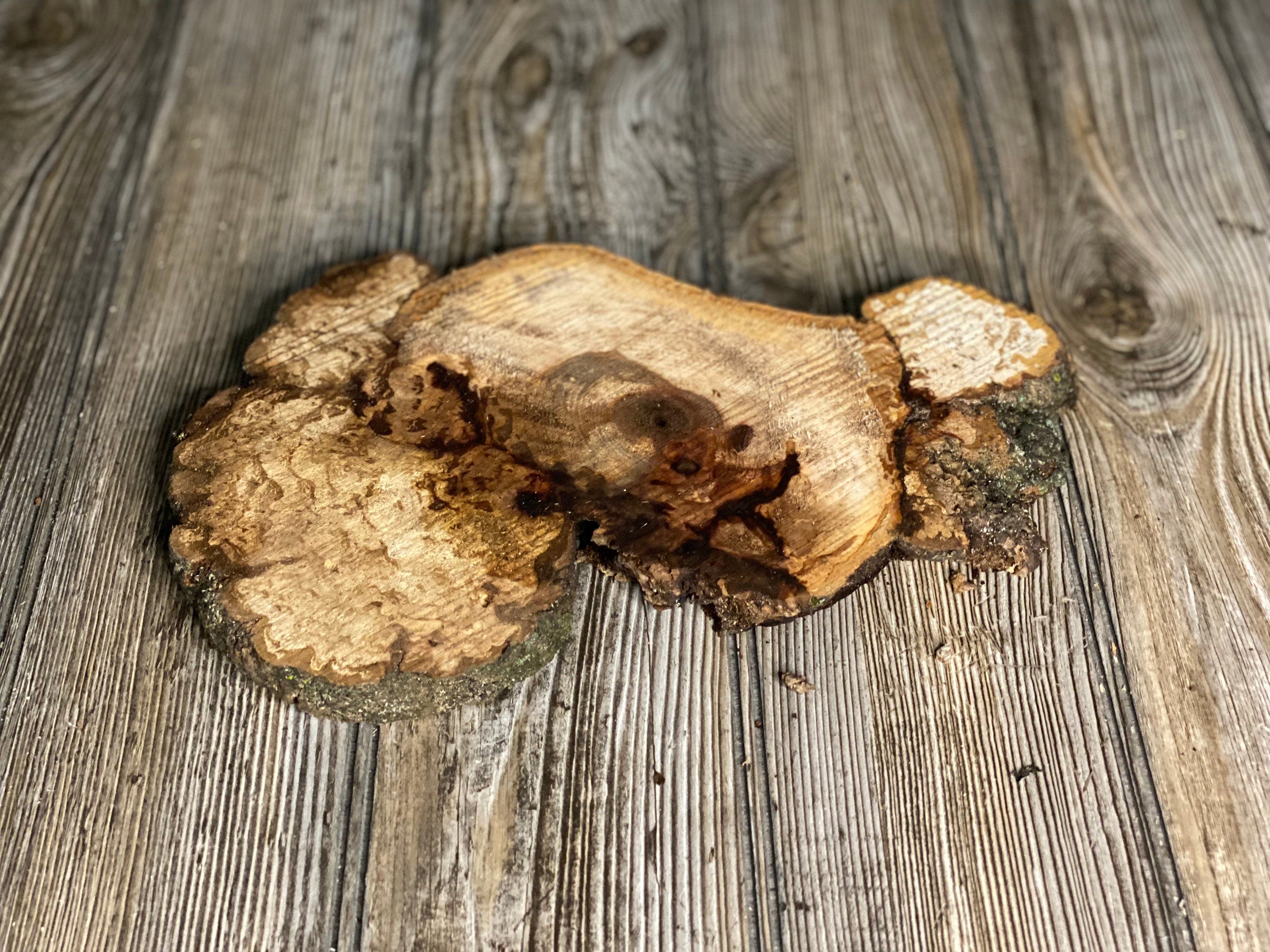 Hickory Burl Slice, Approximately 11 Inches Long by 7 Inches Wide and 3/4 Inch Thick