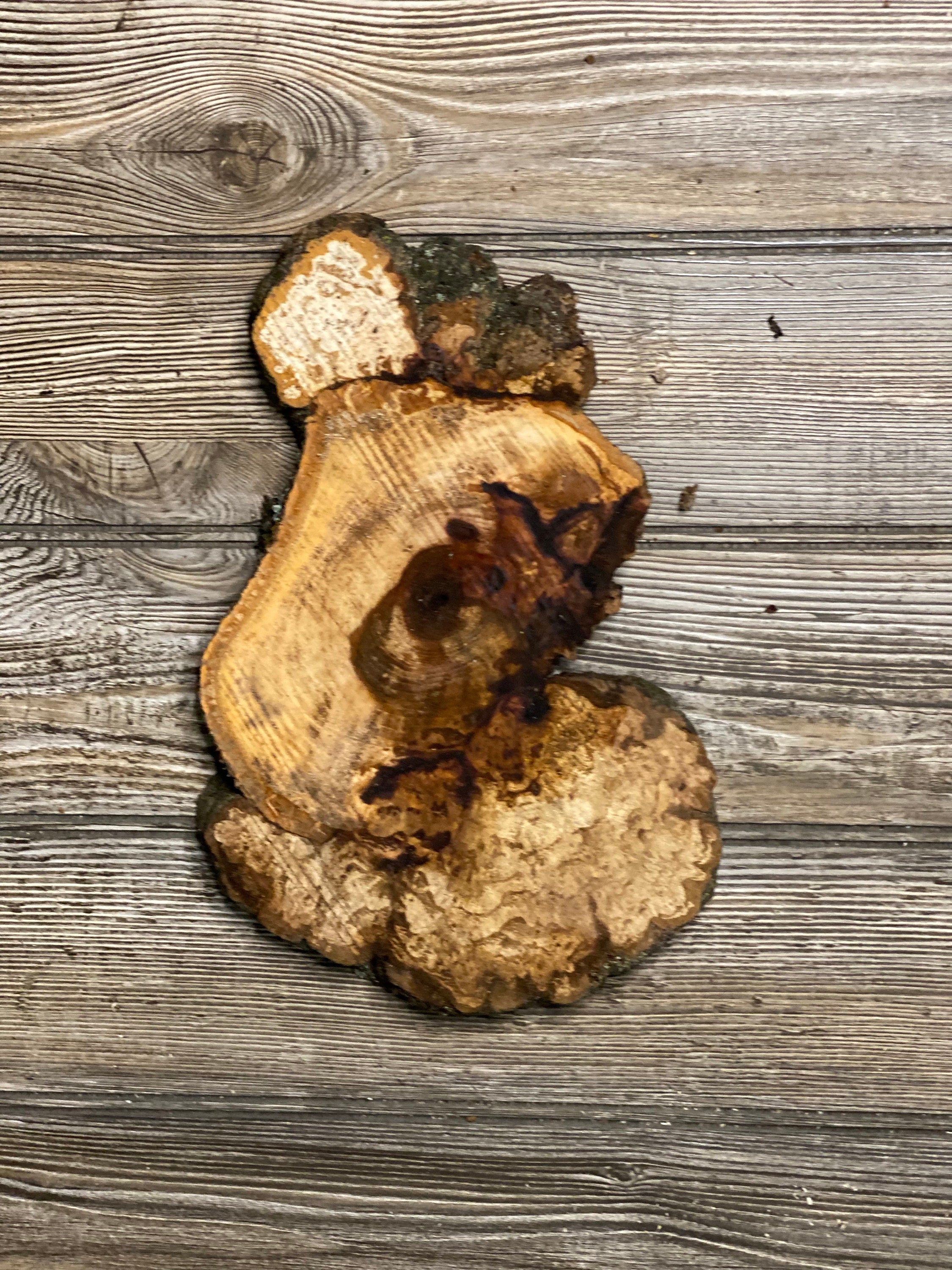 Hickory Burl Slice, Approximately 11 Inches Long by 7 Inches Wide and 3/4 Inch Thick