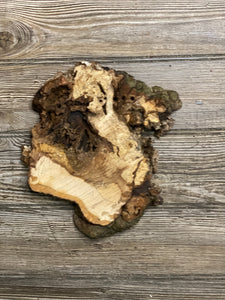 Hickory Burl Slice, Approximately 9.5 Inches Long by 9 Inches Wide and 1.5 Inch Thick