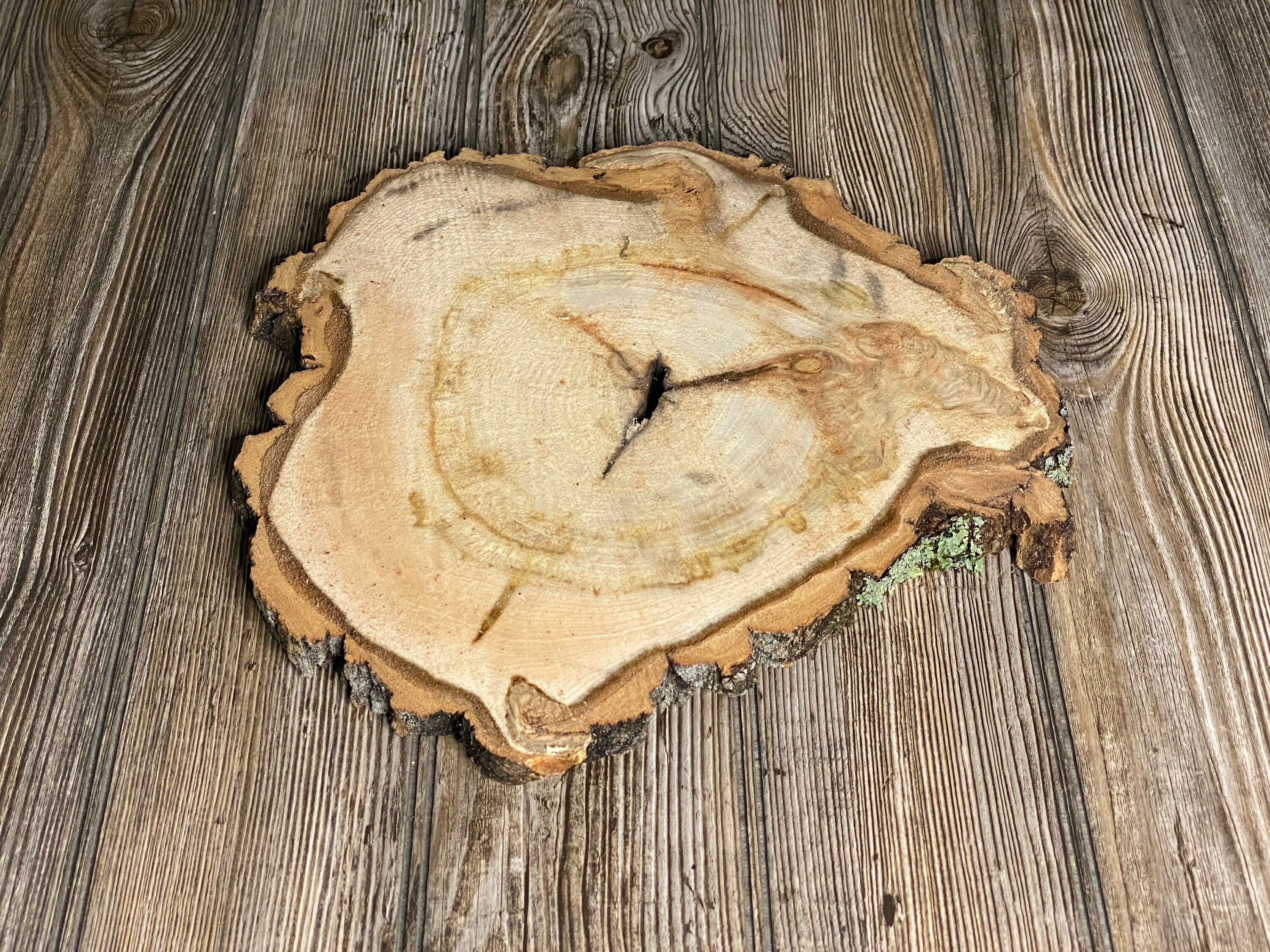 Aspen Burl Slice, Approximately 12 Inches Long by 12 Inches Wide and 3/4 Inch Thick