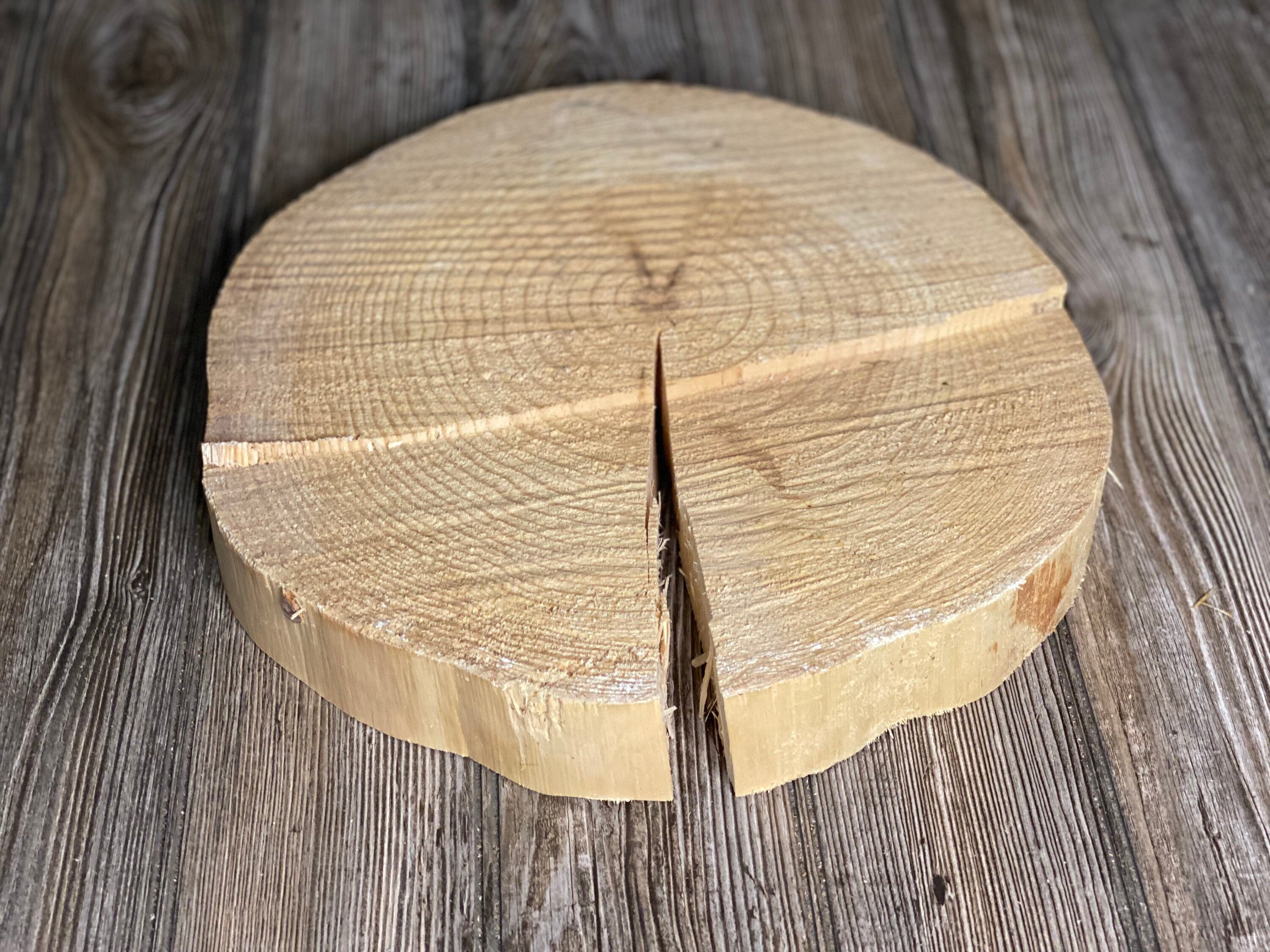 Pine Slice, Approximately 13 Inches Long by 13 Inches Wide and 2 Inches Tall