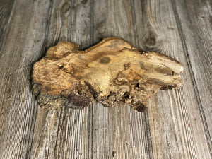 Hickory Burl Slice, Approximately 11.5 Inches Long by 7 Inches Wide and 3/4 Inch Thick