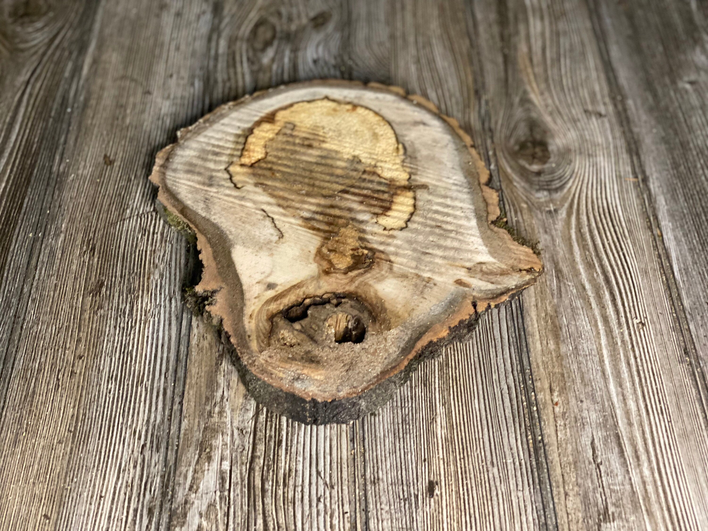 Aspen Burl Slice, Approximately 11 Inches Long by 9 Inches Wide and 3/4 Inch Thick