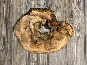 Hickory Burl Slice, Approximately 12.5 Inches Long by 10 Inches Wide and 3/4 Inch Thick