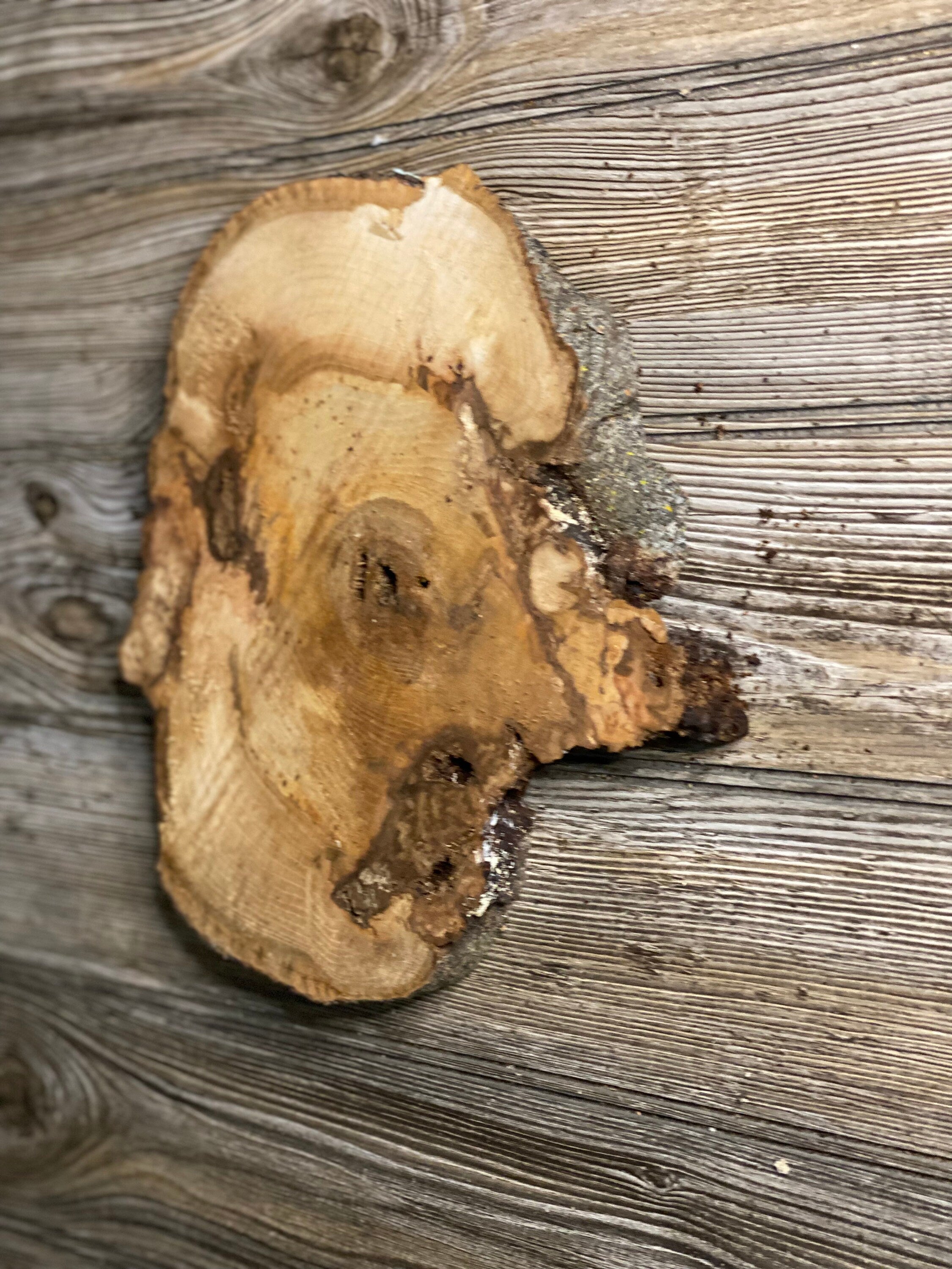 Hickory Burl Slice, Approximately 11 Inches Long by 10 Inches Wide and 3/4 Inch Thick